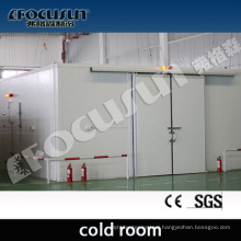 Manufacturer Made Cold Room for Vegetable/Ice/Fish/Meat Cold Storage